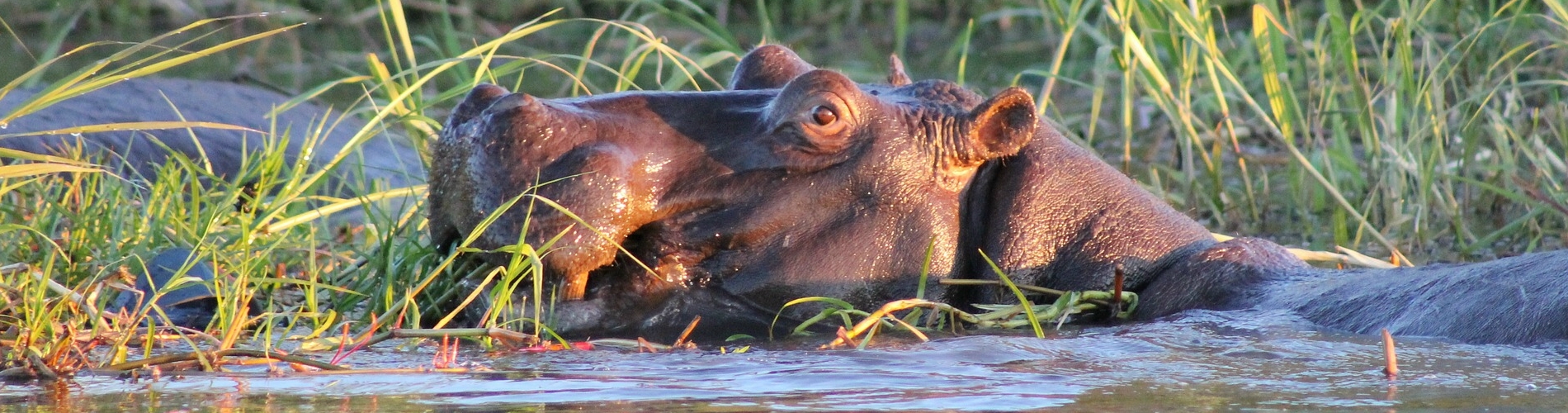 BECKTUR - EAST AFRICA