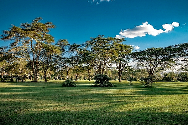 Ethiopia